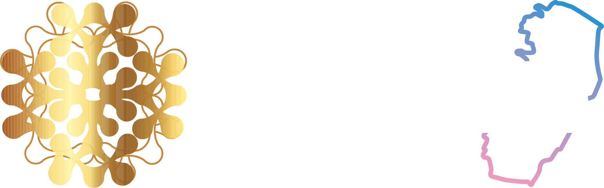 1º Congresso Capixaba